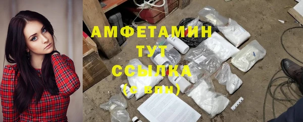 прущие крисы Абаза