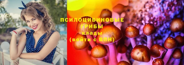 прущие крисы Абаза