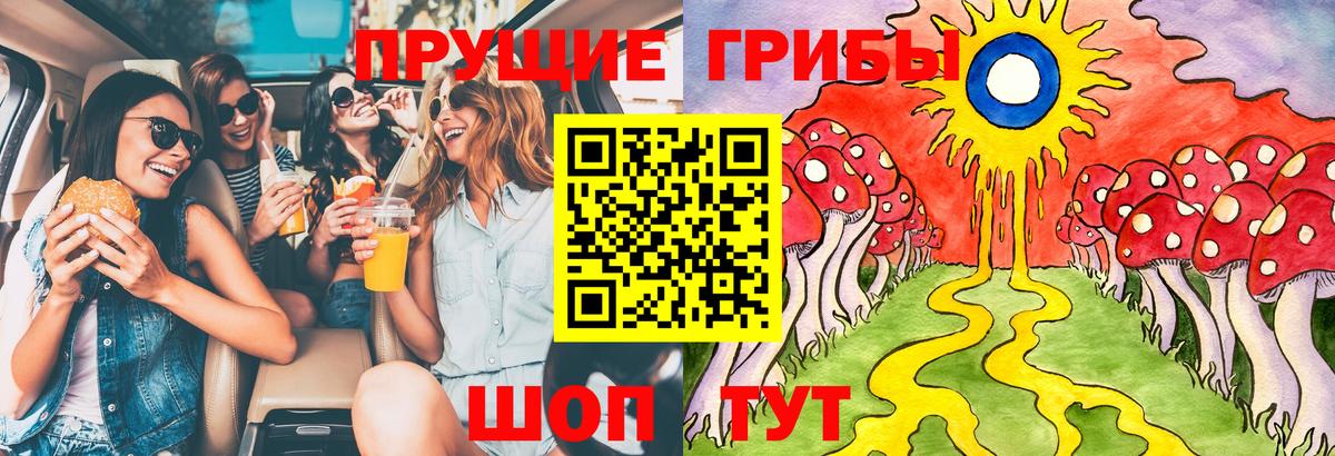 Аксай  Галлюциногенные грибы Cubensis  Вход с VPN 
