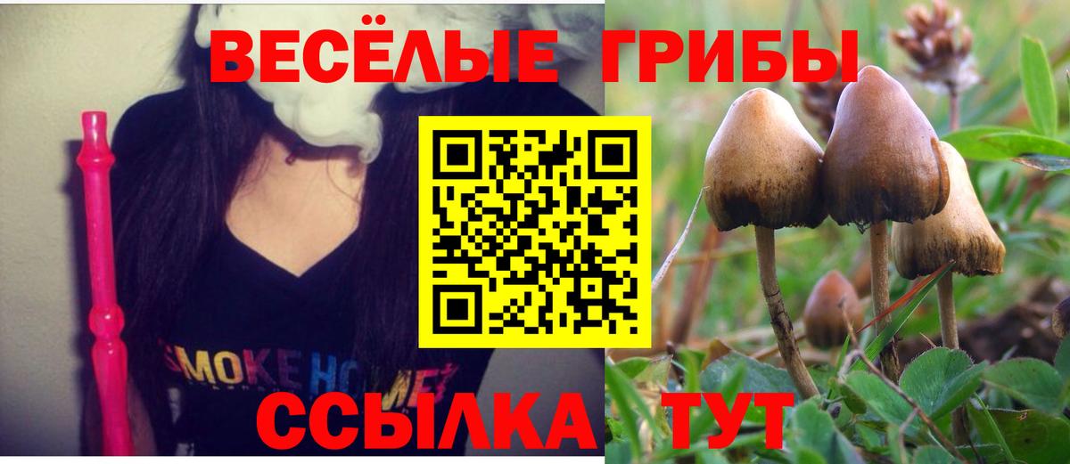 Галлюциногенные грибы мухоморы Аксай
